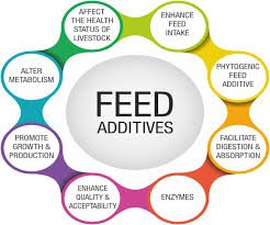 Feed Additives